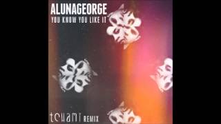 AlunaGeorge  You Know You Like It Tchami Remix [upl. by Ainet]