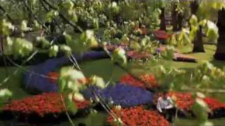 Keukenhof Gardens in Holland  DFDS Seaways [upl. by Thin]