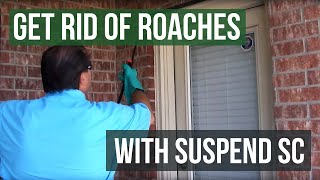 How To Use Suspend SC Insecticide To Get Rid Of Roaches [upl. by Gabrielli]