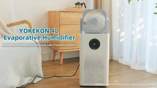 Humidifier and Purifier in One [upl. by Rubbico]