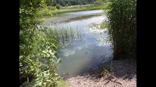 Priddy amp Ebbor Gorge Circular Hike Part III EdThe Mineries by Sheila July 11th 2024 [upl. by Inaoj]