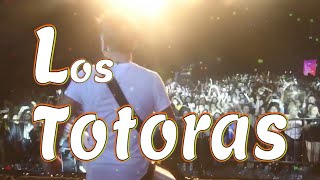 Los Totora  Exclusivo 9LINK  Cumbiódromo 2017 [upl. by Gery64]