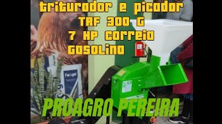 TRITURADOR FORRAGEIRO TRAPP TRF 300 G 7HP COM CORREIA A GASOLINA [upl. by Kelson]