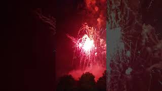 Firework PERFECT 2024 35 in 4K shorts viral fireworks [upl. by Eryn5]