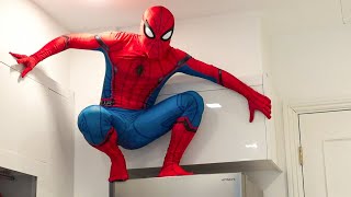 WTF SpiderMan [upl. by Llenyt]