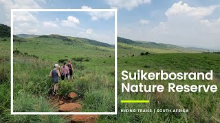 Hiking trails in South Africa  Cheetah trail  Bokmakierie trail  Suikerbosrand Nature Reserve [upl. by Dnomyaw]