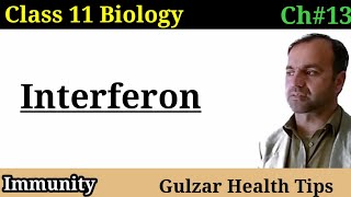 Interferon second line of defense  Immunity  class 11th biology [upl. by Arotahs126]