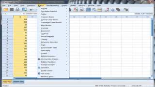 Onesample ttest  SPSS Part1 [upl. by Fesoj207]