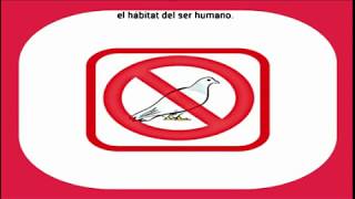 sonido 🚫🕊️ AHUYENTA PALOMAS 🚫🕊️ Funciona 🆗 9hs [upl. by Enohs]