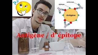 antigène épitope cour dimmunologie 5 [upl. by Tedman]