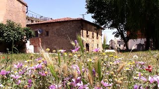 Bañuelos de Bureba y el Maestro Benaiges [upl. by Melone]