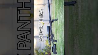 Unreal Airgun Accuracy  LongRange Headshot  Best Airguns in the world  FX Panthera  FX Airguns [upl. by Krissie437]