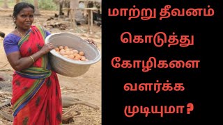 Free range eggsPART 2Happy hens மேய்ச்சல் முறை கோழிகள் [upl. by Schonfeld21]