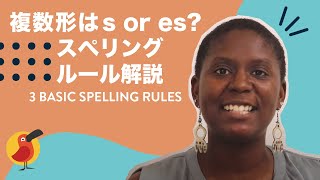 【複数形はe or es】スペリングのルール解説 [upl. by Ahtel284]