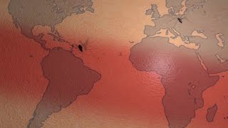 La dengue le chikungunya et le zika [upl. by Shiller]