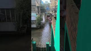 Kolkata ka barish 😭 music song love bollywood shortvideo kolkata [upl. by Rabassa396]