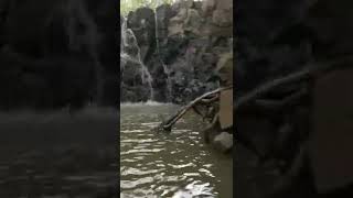 Waterfalls Ananthagiri hills Vikarabad [upl. by Allemaj]