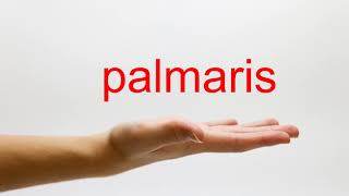 How to Pronounce palmaris  American English [upl. by Gannes]