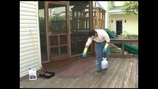 Deck Redo in Four Simple Steps with Thompsons WaterSeal [upl. by Nnaarual167]