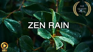 10 Hour  Calm Rain ASMR  Spiritual Rain Meditation  Relaxing Background Ambience [upl. by Kceb]