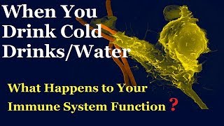 Why Is Drinking Cold Water ¦ Bad For You ¦¦ The Effects Of Drinking Cold Water [upl. by Ivar]