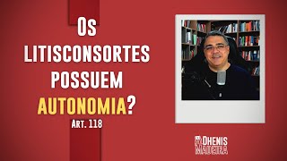 Os litisconsortes possuem autonomia [upl. by Anad890]