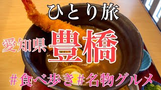 【ひとり旅】愛知県豊橋市・食べ歩き旅・豊橋カレーうどん・チーズソフトクリーム・老舗ケーキ店・創業２００年の名店で食べる菜めし田楽定食・豊橋名物グルメ [upl. by Giah]