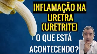 Inflamação da uretra  as causas desse problema [upl. by Aivad307]