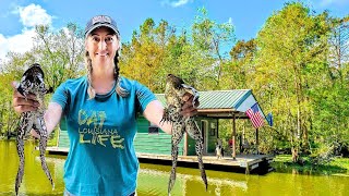 Houseboat Getaway  Catching Huge Bullfrogs in the Swamp for Dinner [upl. by Ahtelahs]