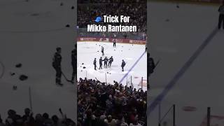 Rantanen Scores 🧢 Trick  🍎 MikkoRantanen ColoradoAvalanche NHLHighlights [upl. by Hinman839]