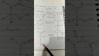 Lecture  37 Mechanism of osazone formation by Ms Priti Paranjiya [upl. by Aninahs824]