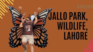 Butterfly House  Jallo Park Lahore  Lohore famous family Park  awaisvlogs familyvlog [upl. by Quackenbush]