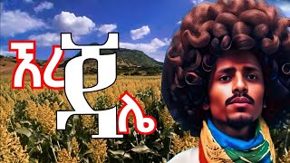 ኧረ ጎራው ኧረ ደመንማኔ  መሳጭ ቀረርቶ  kererto  fukera  shilela kererto aynmedia [upl. by Hassadah]