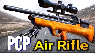 Best PCP Air Rifle 2024 – The Only 8 You Should Consider Today [upl. by Yendahc]