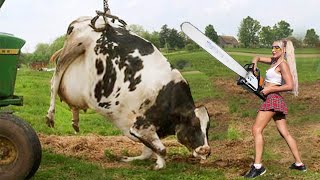 Ultimate Farming Experience Girl vs Chainsaw Cow Milking amp Tree Cutting [upl. by Fortier]