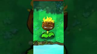 PLANTORCHA SOLAR 🔥🌻 PVZ 1  pvz1plantsvszombies pvz pvzfusion fusion pzv2 [upl. by Gaivn]