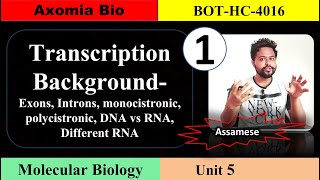 Transcription background cistron DNARNA  Unit 5  Class 1  Axomia Botany  BOTANY MAJOR GU [upl. by Gilmour292]