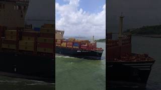 MSC CONTAINER SHIP CROSSING ship shipping oceansailing seaman sailor seafarer [upl. by Atte]