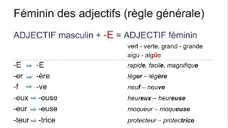 Les adjectifs – introduction  genre fémininmasculin – nombre plurielsingulier [upl. by Kress140]