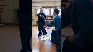 浪返 Namigaeshi Musō Shinden Ryu Iai Kata [upl. by Gerhard290]