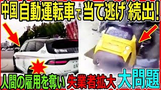 中国の自動運転タクシー、道路を走る危険な現実、暴走・当て逃げ、技術革新と社会問題の狭間で【自動運転、事故、中国】 [upl. by Light]