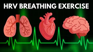 HRV Resonant Breathing Exercise  Guided Cardiac Coherence Breathing  TAKE A DEEP BREATH [upl. by Hospers650]