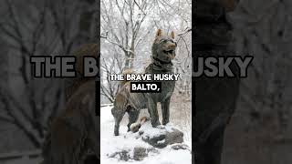 101 Howlsome Facts About Siberian Huskies That Will Make You Go Woof MUSTWATCH p3 facts [upl. by Peri253]