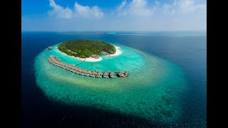 Dusit Thani Maldives  Ultimate Luxury Maldives Resort [upl. by Nette]