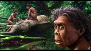 Homo Floresiensis The Indonesian Hobbits [upl. by Laurens]