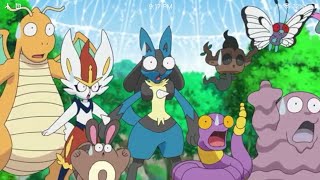 Cinderace and lucarios cute and funny momentspokemon journeys ep70 [upl. by Duval]