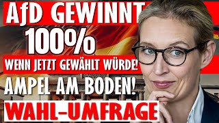 🚨 WahlUmfrage AfD gewinnt 100 wenn jetzt gewählt würde Ampel am Boden [upl. by Boyden]