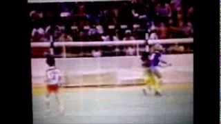 Svetlana Ceca Kitic  Amazing Goal  OI Finals 1984 [upl. by Larcher]