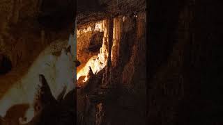 Discover The Postojna Cave In Southwest Slovenija  The Ultimate World Cruise [upl. by Ennaus]