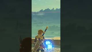 BLSS So Fun The Legend of Zelda Breath of The Wild thelegendofzeldabreathofthewild [upl. by Entwistle822]